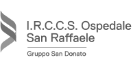 Logo Ospedale San Raffaele S.r.l.